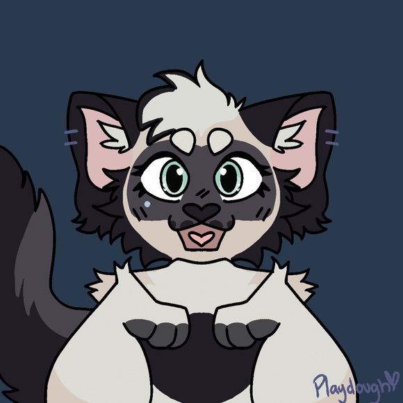 catzrprettycool